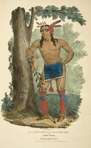 Kaa-nun-der-waaguinse-zoo of de Bessenplukker door James Otto Lewis